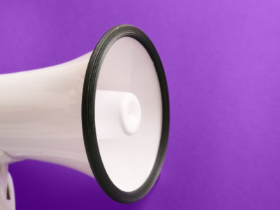 Lien vers le questionnaire en ligne