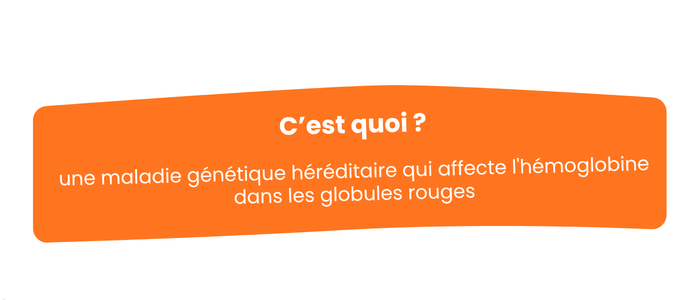 Nat visuel drépa (2)