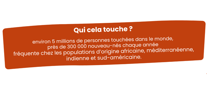 Nat visuel drépa (3) Qui cela touche ? environ 5 millions de personnes touchées dans le monde, près de 300 000 nouveau-nés chaque année fréquente chez les populations d’origine africaine, méditerranéenne, indienne et sud-américaine.