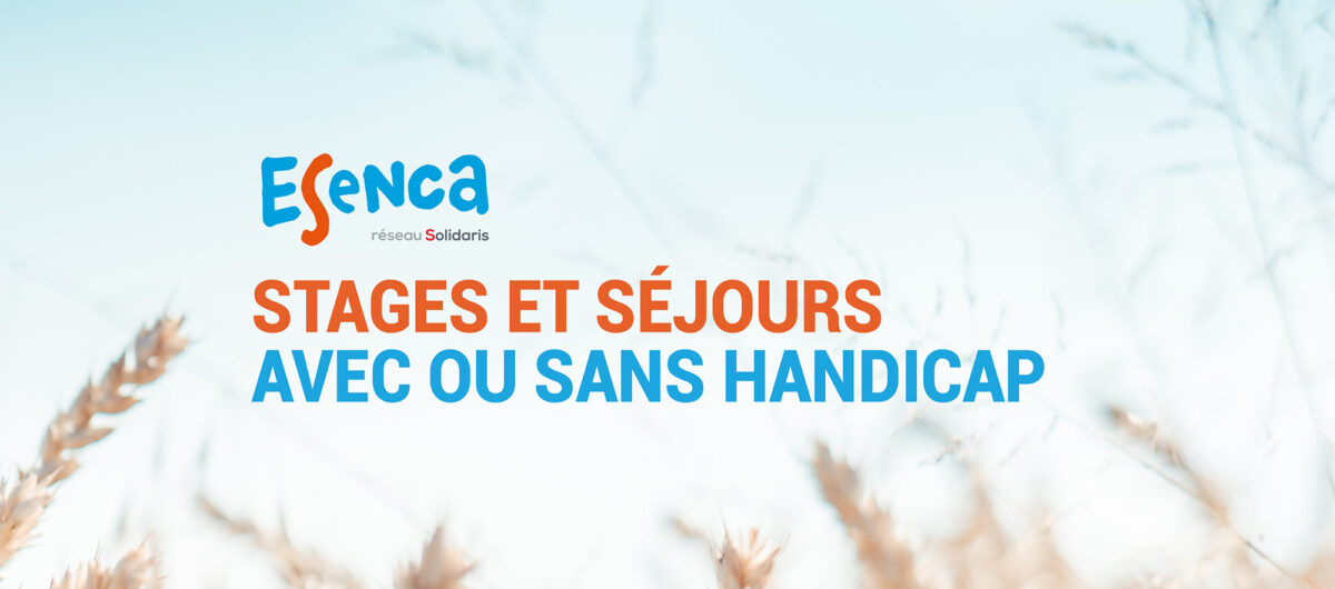 Lien vers la page activités de Liège