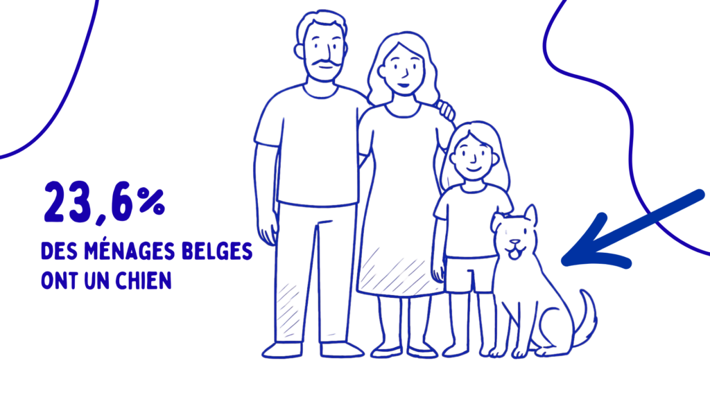 23,6% des ménages ont un chien